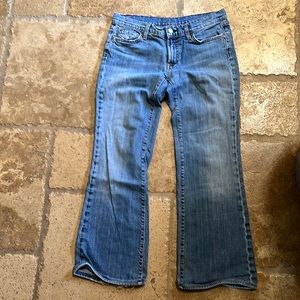 7 For All Mankind Flare 31